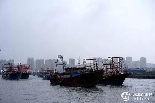 爆料渔船视频大全下载免费,免费下载渔船视频大全，尽享海洋魅力  第1张